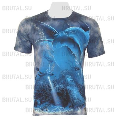 Акула и аквалангисты  ―  Brutal.su