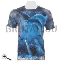 Акула и аквалангисты 