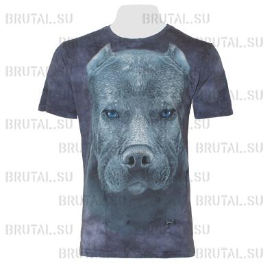 Питбуль  ―  Brutal.su