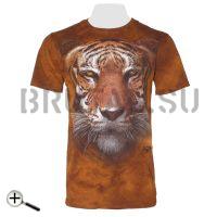 Амурский тигр 