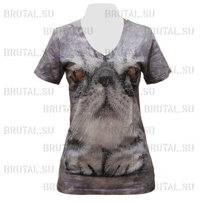 Кот ―  Brutal.su