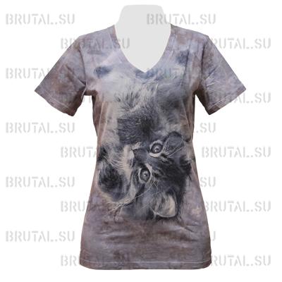 Котёнок  ―  Brutal.su